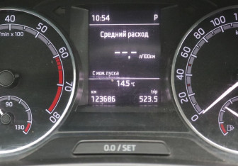 Подержанный автомобиль Skoda Rapid Liftback 2019 года (13 фото)