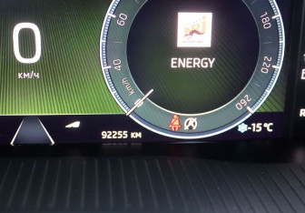 Подержанный автомобиль Skoda Octavia Liftback 2020 года (17 фото)